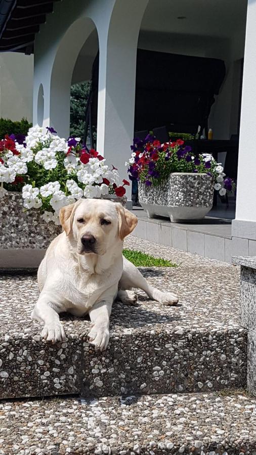 Casa Manuela Tra Bellinzona Locarno E Lugano Apartment Cadenazzo Bagian luar foto